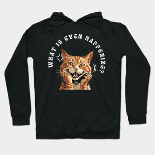 what is even happening Hoodie